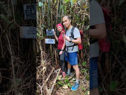 Gunung Kor + Bukit Genting Rompin 第一次参与开路登山，半小时变三个半小时，原来一点都不简单！