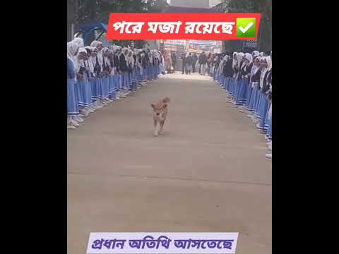 প্রধান অতিথি ‌আসতেছে।।।