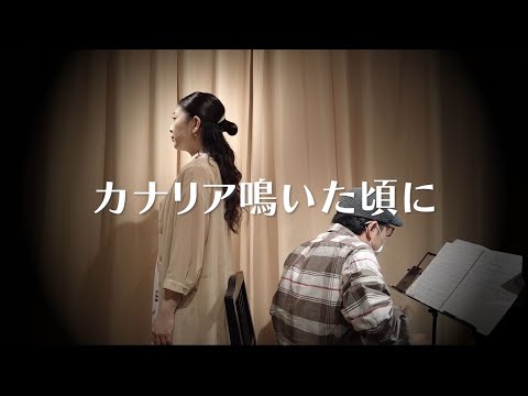 【歌ってみた】カナリア鳴いた頃に【弾いてみた】