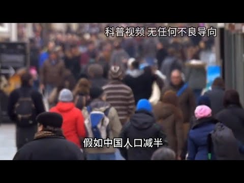 14亿人口的中国每天会有多少人去世，人口减少一半会怎样?