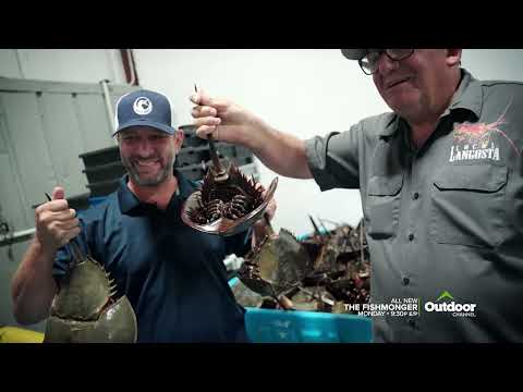 The Fishmonger with Tommy Gomes Season Three on Outdoor Channel