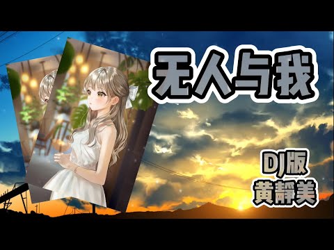 無人與我 DJ版 | 黃靜美 『無人拭我眼中淚 無人懂我的疲憊』【繁體歌詞 pinyin lyrics】#無人與我 #黃靜美 #無人與我lyrics