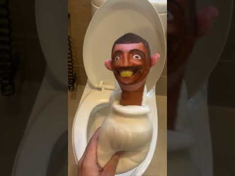 Skibidi Toilet in Real Life 1