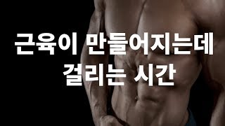 효과적인 근육 증가를 위한 기본 원칙