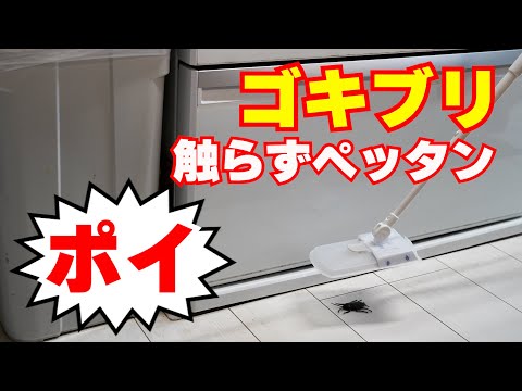 【ゴキブリ駆除】ゴキブリ駆除 ゴキブリを触らずにくっつけてポイ！ゴキブリ退治にゴキブリ触らずペッタンポイ！ ムカデ クモ カメムシ駆除にも最適【ムカデ駆除】【カメムシ駆除】