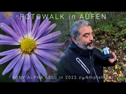 Fotowalk in Aufen | Sony Alpha 6500 in 2022 immer noch zu empfehlen?