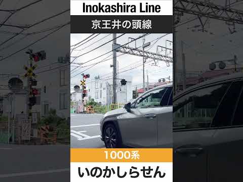 【踏切】京王井の頭線 浜田山-高井戸駅間【電車が大好きな子供向け】Japanese Trains for Kids - Keio Inokashira Line