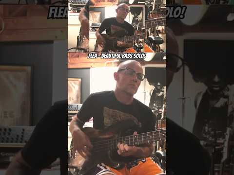 Flea - Beautiful Bass Solo! #Flea #RHCP #RedHotChiliPeppers #Live #Shorts