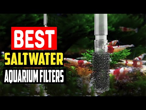 ✅The 5 Best Saltwater Aquarium Filters of 2023