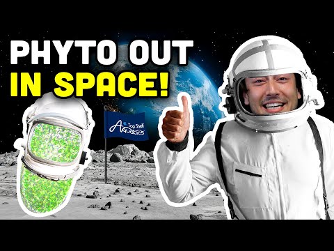 Reefing in Space?! NASA's Phytoplankton!