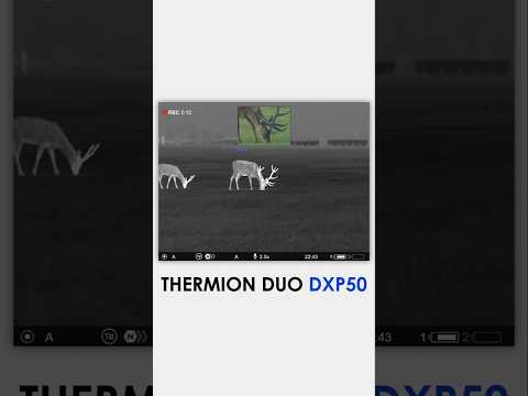 Thermion Duo DXP50 combines daytime digital and thermal imaging for seamless viewing.  #pulsarvision