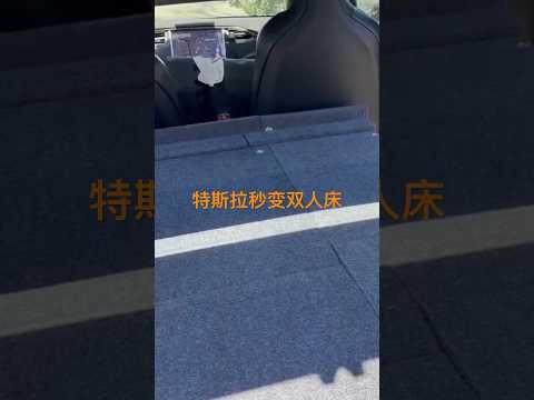 特斯拉Model S 朋友帮忙改成双人床