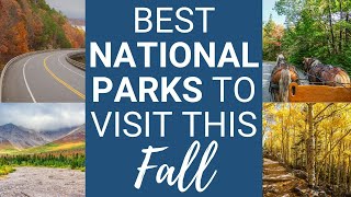 Best National Parks to Visit This Fall | Colors, Wildlife, and Views!