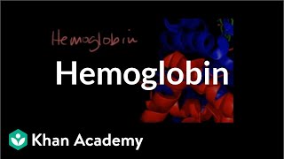 Hemoglobin | Human anatomy and physiology | Health & Medicine | Khan Academy