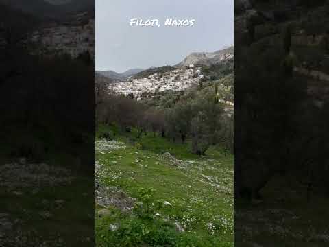 Naxos is STUNNING! ⛰🌸