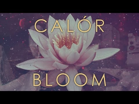 Calór - Bloom (Full EP) || Djent / Progressive Metal