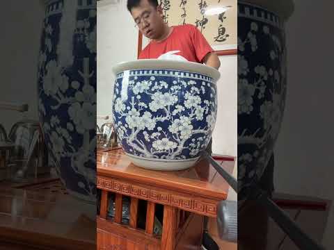 清代同治光绪时期冰梅纹大卷缸#明清瓷器 #让文物抖起来 #器物之美 #古玩 #青花瓷