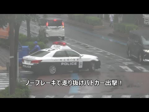 【パトカー取締り】まさか警察車両のアリオンだった？対向のアルファードが譲ってるのに台車で超目立つ配達員の目の前をノーブレーキで走り抜けた金髪女性ドライバーの顛末!!