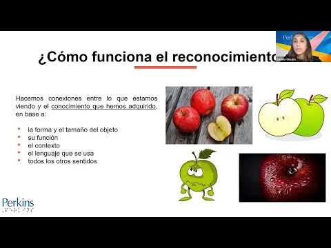 CVI - Área de Evaluación: Reconocimiento Visual