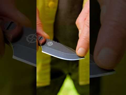 🔥⚔️ New! MSK-1 Mini EDGE Knife- Blade Features & Options #shorts #knife #edc #survival #shortsvideo