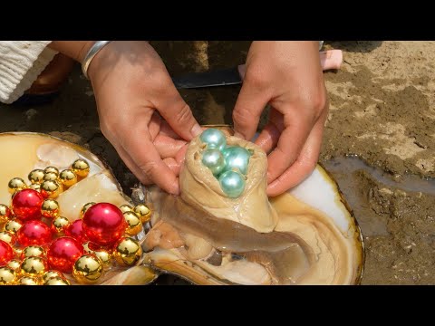 🔥🔥 Riverbed Enigma Solved: Girl Finds Giant, Pearl-Bursting Clam, Unleashing Nature's Glory!