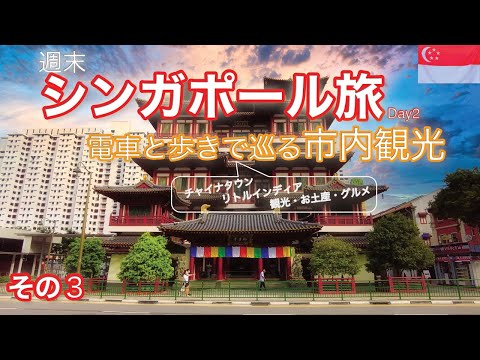 電車と歩きで巡る市内観光。チャイナタウンとリトルインディアのカレー【シンガポール旅vol.3】