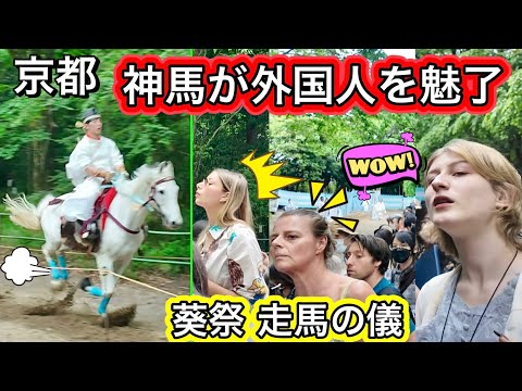 外国人観光客も魅力する神馬の走り! 葵祭の『走馬の儀』京都下鴨神社 2024