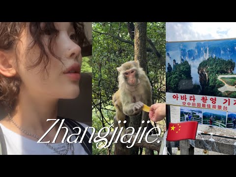 아바타 그 잡채✨⛰죽기 전에 가봐야 될 그 곳..장가계 3박 4일 여행 VLOG🎒(feat.인생 첫 비행)