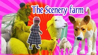 ใบเฟิร์น I The Scenery Vintage Farm [เดอะ ซีนเนอรี่ วินเทจ ฟาร์ม] @Fern Kids