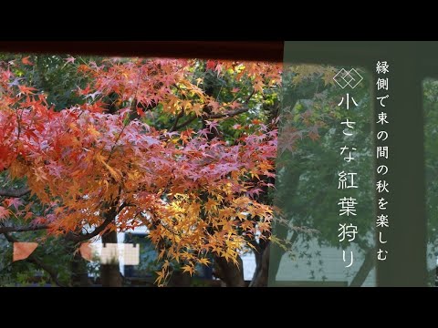 【紅葉】縁側でプチ紅葉狩り