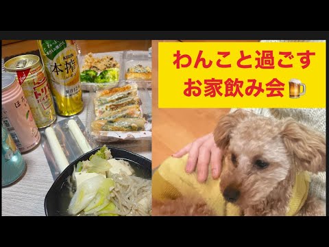 「わんこ」と過ごすお家飲み会／おつまみ／餃子の皮アレンジ