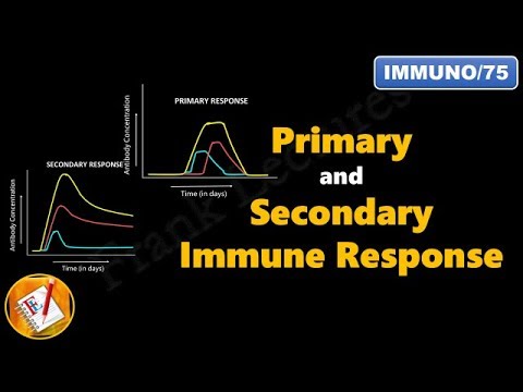 Primary and Secondary Immune Response (FL-Immuno/75)