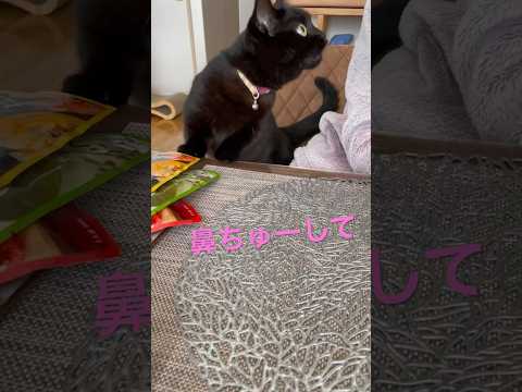 鼻にちゅーしてほしいと飼い主におねだりする黒猫