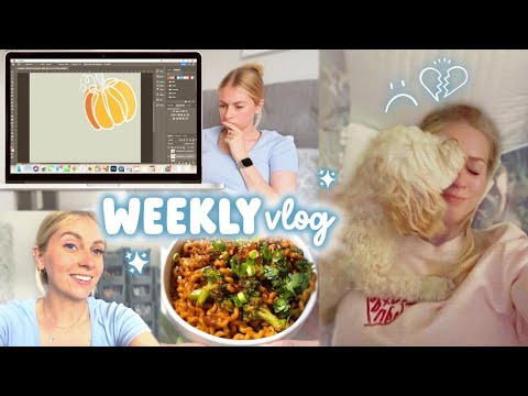 cooking, creating & i've never cried this much... WEEKLY VLOG