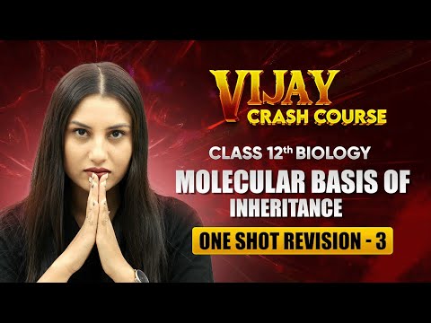 Molecular Basis of Inheritance - One Shot Revision (Part 3) | Class 12 Biology Chapter 5 #live