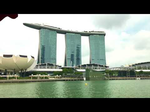 新加坡水陸兩棲鴨子船 Duck Tour