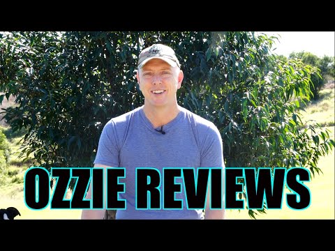 Ozzie Reviews Q & A - Episode #62 (check out what's new!)