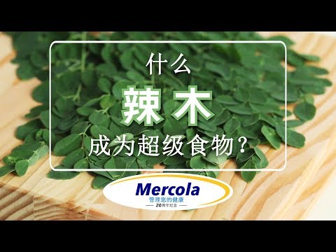 什么让辣木成为超级食物？