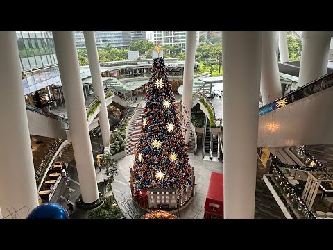 Singapore Christmas Lights Tour 2024: The Star Vista, VivoCity & Tanglin Mall