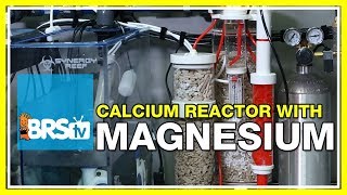 FAQ #2: Why do I supplement magnesium while running a calcium reactor? | 52 FAQ