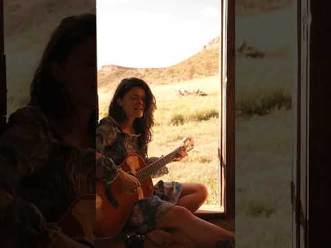 patience- Haley Harkin #singersongwriter #colorado #acoustic