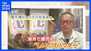 「宮崎のしいたけを未来に」2年で売り上げ50倍！“しいたけパウダー”の仕掛け人の海外戦略とは【ゲキ推しさん】｜TBS NEWS DIG