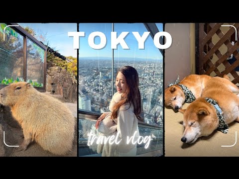 [日本東京旅遊］回港了！PR等到氣餒，放棄了？日本東京美食之旅｜東京必食餐廳｜東京新景點｜日本壽喜燒推薦｜去伊豆仙人掌動物園睇水豚｜柴犬cafe｜牛舌の檸檬｜對住富士山嘅餐廳？｜SHIBUYA SKY