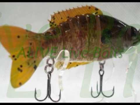 Fishing Buddy - ALIVE Live Baits.wmv