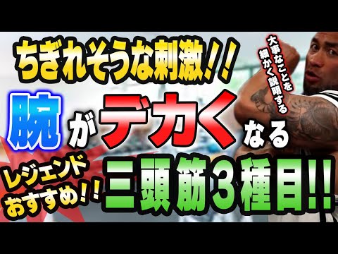 ちぎれるほどの刺激‼三頭筋『だけ』を狙って鍛える！トレーニングのコツ！【山岸秀匡切り抜き】