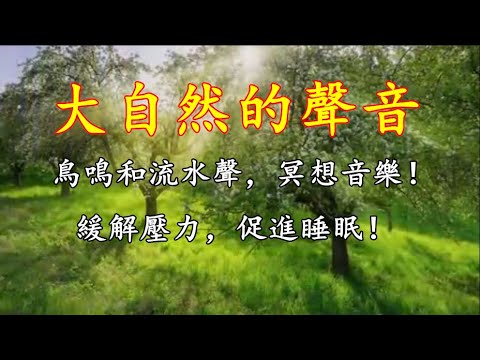 【大自然的噪音】鳥鳴和流水聲，緩解壓力，促進睡眠，冥想音樂！