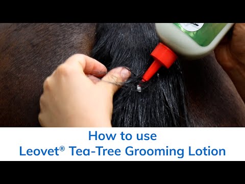 How to use Leovet® Tea Tree Grooming Lotion