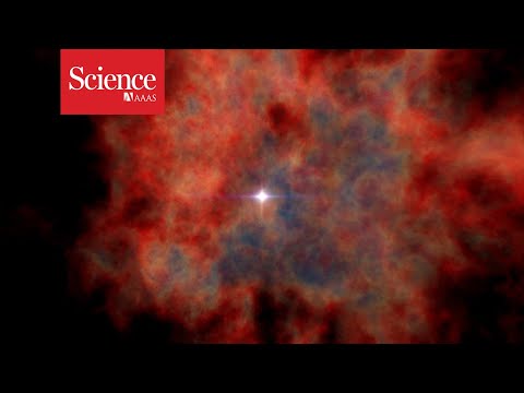 Ancient supernovae might have upended Earth’s evolution