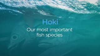 Earthz Pet Ingredients - Hoki Fish