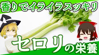 【ゆっくり解説】セロリの栄養について解説します。